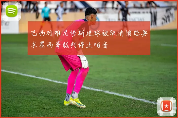 巴西对维尼修斯进球被取消愤怒要求墨西哥裁判停止哨音