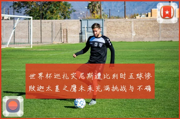 世界杯巡礼突尼斯遭比利时五球惨败迦太基之鹰未来充满挑战与不确定性